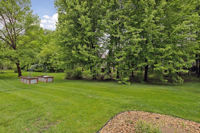9885 Troy Ln N, Maple Grove, MN 55311 - view of green lawn