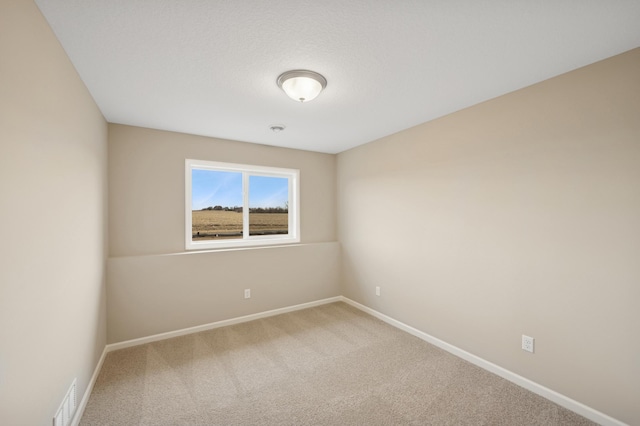 451 Mallard St NE, Hanover, MN 55341 - carpeted spare room with baseboards