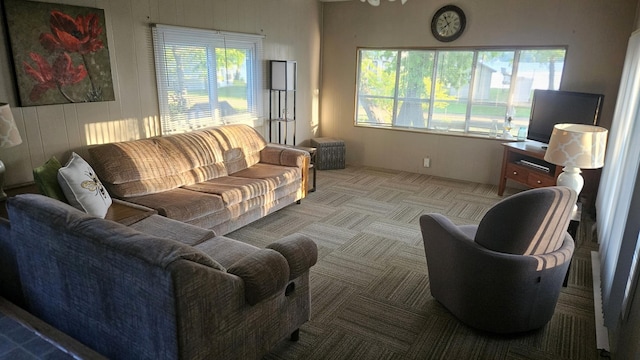 33798 Shady Oak Dr, Foster Twp, MN 56225 - carpeted living area with wood walls