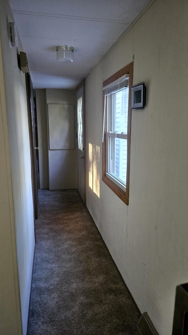 33798 Shady Oak Dr, Foster Twp, MN 56225 - hall with carpet