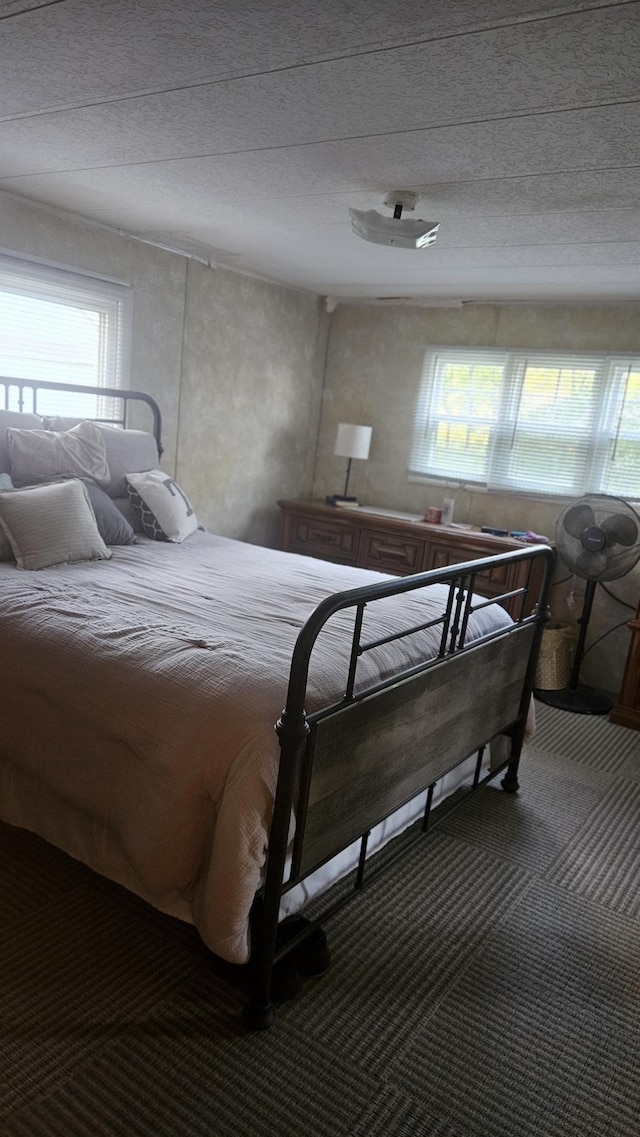 33798 Shady Oak Dr, Foster Twp, MN 56225 - carpeted bedroom featuring multiple windows