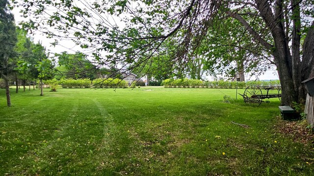 33798 Shady Oak Dr, Foster Twp, MN 56225 - view of grassy yard