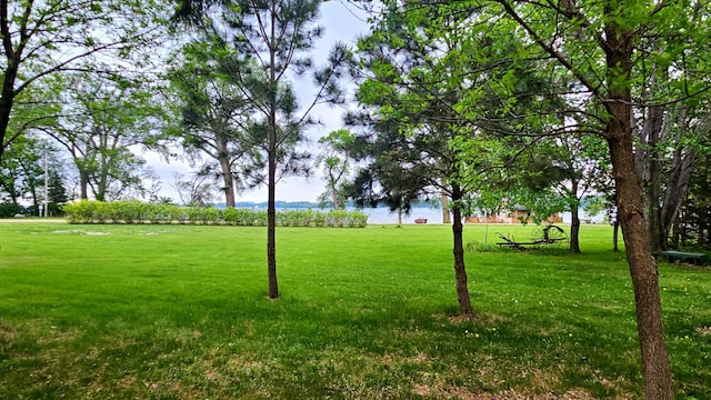 33798 Shady Oak Dr, Foster Twp, MN 56225 - view of home's community featuring a lawn