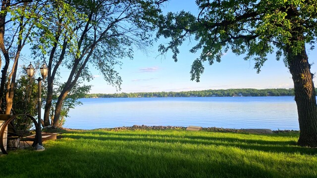 33798 Shady Oak Dr, Foster Twp, MN 56225 - water view