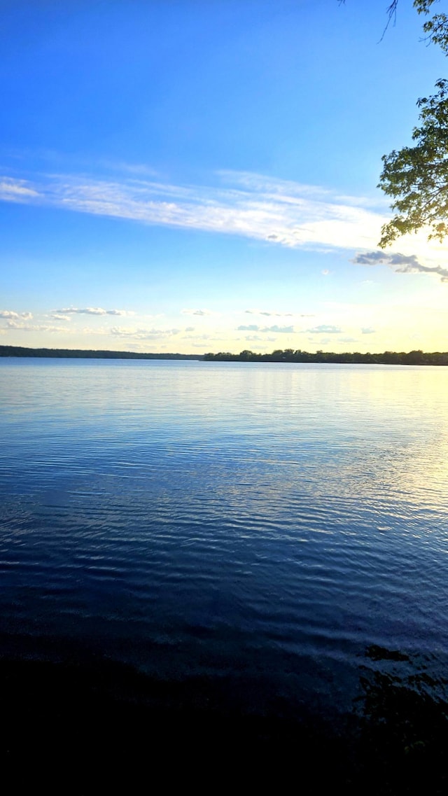 33798 Shady Oak Dr, Foster Twp, MN 56225 - water view