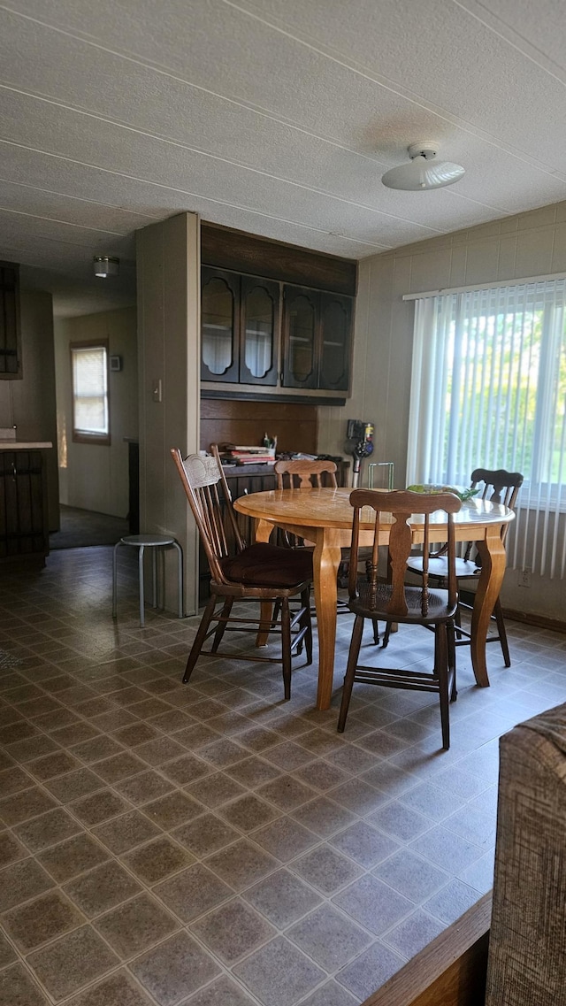 33798 Shady Oak Dr, Foster Twp, MN 56225 - dining area with a textured ceiling