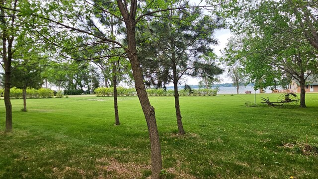 33798 Shady Oak Dr, Foster Twp, MN 56225 - view of green lawn