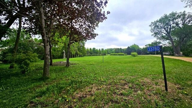 33798 Shady Oak Dr, Foster Twp, MN 56225 - view of grassy yard