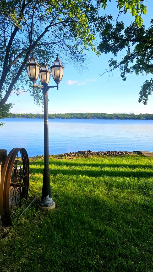 33798 Shady Oak Dr, Foster Twp, MN 56225 - water view