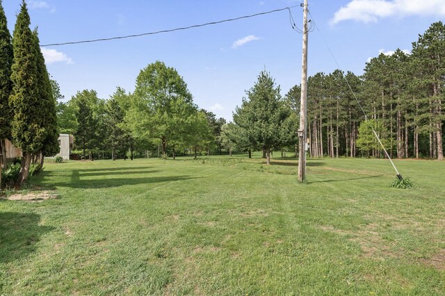 3364 85th Ave, Princeton, MN 55371 - view of green lawn