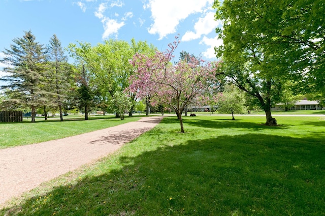 915 Knapp St, Rice Lake, WI 54868 - view of property's community featuring a yard