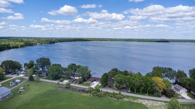 67854 217th St, Darwin, MN 55324 - bird's eye view of a large body of water