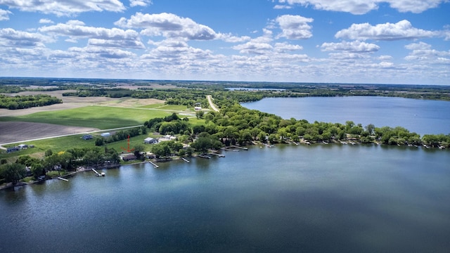67854 217th St, Darwin, MN 55324 - bird's eye view of a large body of water
