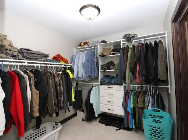 1707 17th St NW, Willmar, MN 56201 - spacious closet with carpet flooring