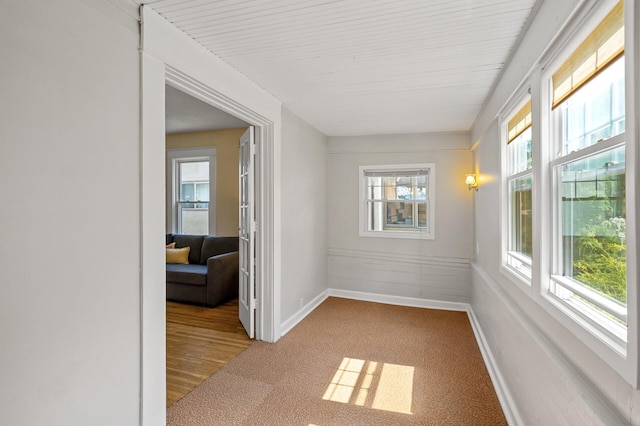 3545 Minnehaha Ave, Minneapolis, MN 55406 - hallway featuring carpet flooring and baseboards