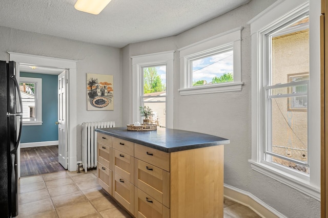 3545 Minnehaha Ave, Minneapolis, MN 55406 - kitchen featuring radiator heating unit, light brown cabinets, freestanding refrigerator, dark countertops, and plenty of natural light