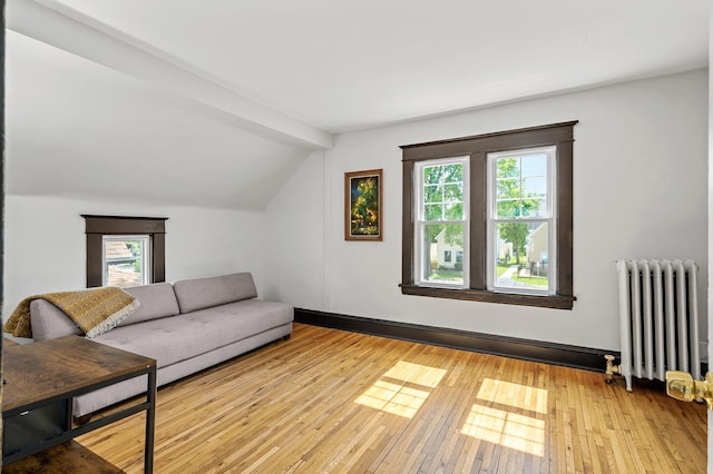 3545 Minnehaha Ave, Minneapolis, MN 55406 - living area featuring radiator, lofted ceiling, and light wood-style flooring