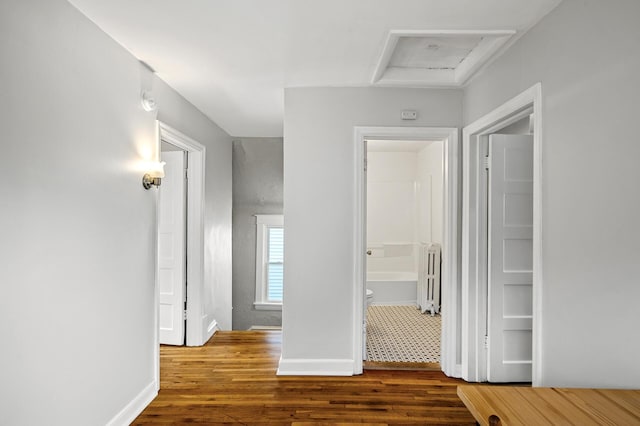 3545 Minnehaha Ave, Minneapolis, MN 55406 - hallway with wood finished floors and radiator