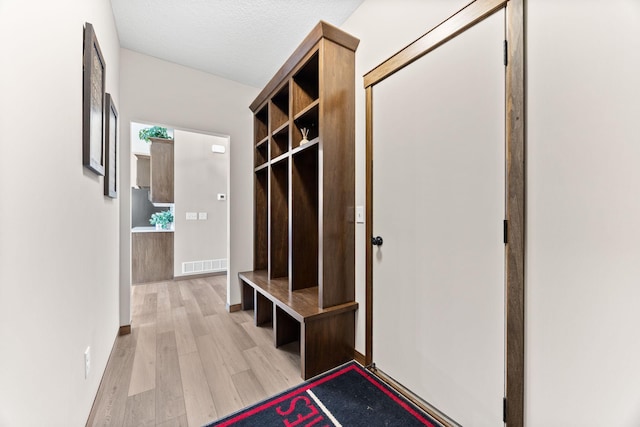 249 3rd St SW, Delano, MN 55328 - mudroom with light wood-style flooring, baseboards, and a textured ceiling