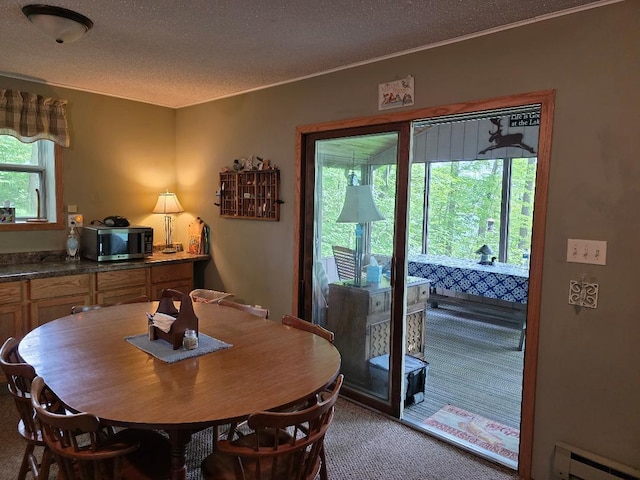 2667 2 1/4 St, Maple Plain Twp, WI 54829 - photo 16