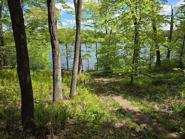 2667 2 1/4 St, Maple Plain Twp, WI 54829 - photo 10