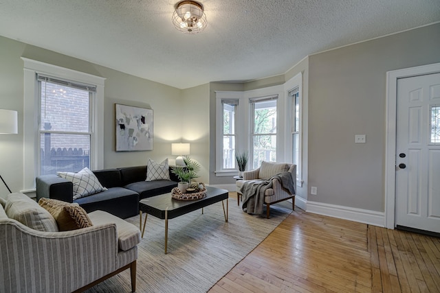 1066 Reaney Ave, Saint Paul, MN 55106 - living room featuring healthy amount of natural light, light wood finished floors, a textured ceiling, and baseboards