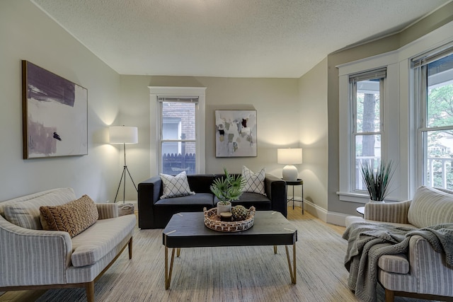 1066 Reaney Ave, Saint Paul, MN 55106 - living room with baseboards, light wood-style floors, and a textured ceiling