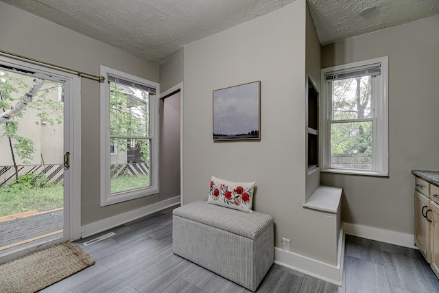 1066 Reaney Ave, Saint Paul, MN 55106 - sitting room featuring healthy amount of natural light, baseboards, wood finished floors, and a textured ceiling