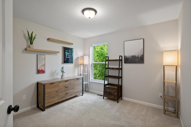 7602 Connie Ln, Inver Grove Heights, MN 55076 - sitting room featuring light carpet, baseboards, and a textured ceiling