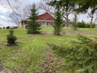 15913 810th Ave, Glenville, MN 56036 - photo 5