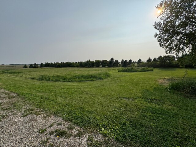15913 810th Ave, Glenville, MN 56036 - photo 6