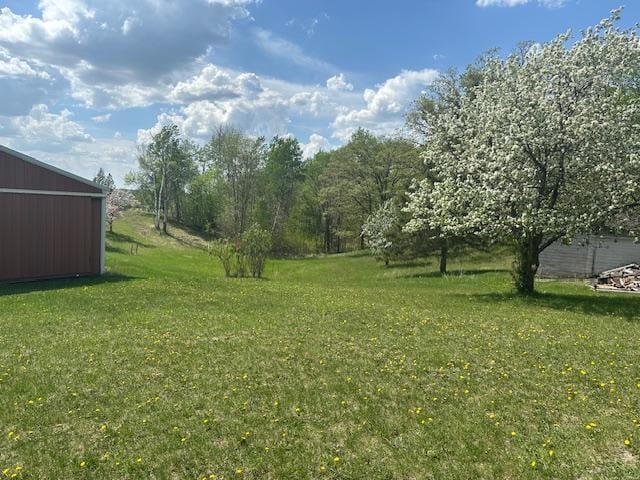 26722 Eisenmen Dr, Leonard, MN 56652 - view of grassy yard