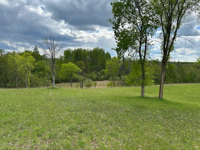 26722 Eisenmen Dr, Leonard, MN 56652 - view of green lawn