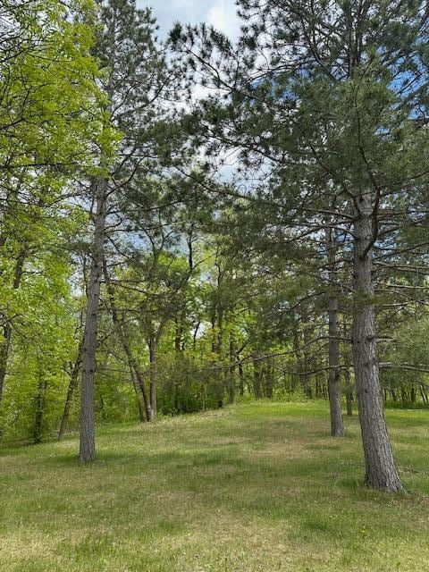 26722 Eisenmen Dr, Leonard, MN 56652 - view of yard