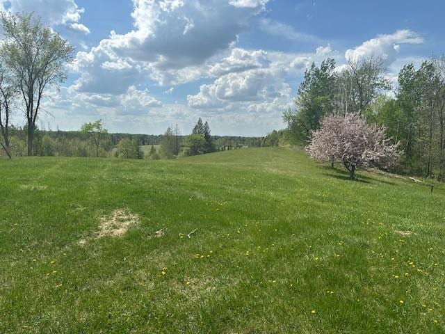 26722 Eisenmen Dr, Leonard, MN 56652 - view of green lawn with a rural view
