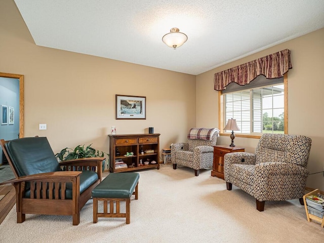 9368 188th Ave NW, Nowthen, MN 55330 - living area featuring carpet