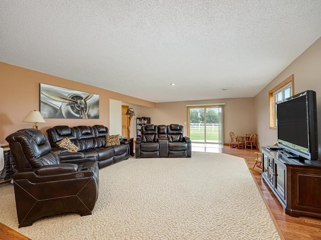 9368 188th Ave NW, Nowthen, MN 55330 - living room with light wood-type flooring and a textured ceiling
