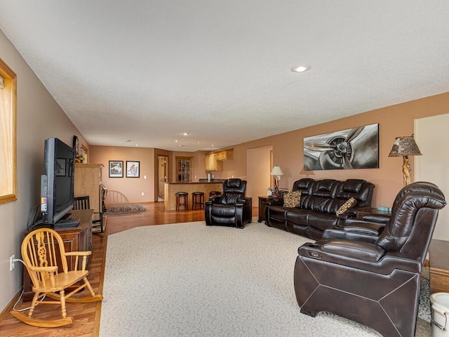 9368 188th Ave NW, Nowthen, MN 55330 - living room with wood finished floors and recessed lighting