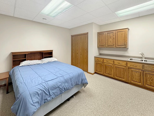 16 Pheasant Dr, Mason Twp, MN 56172 - bedroom featuring a sink, a paneled ceiling, and light colored carpet