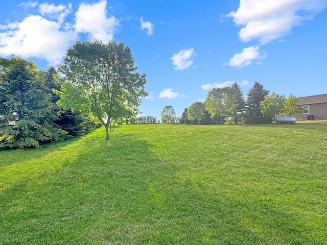16 Pheasant Dr, Mason Twp, MN 56172 - view of grassy yard