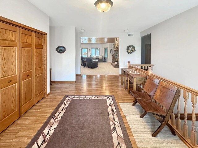 16 Pheasant Dr, Mason Twp, MN 56172 - hall with light wood finished floors
