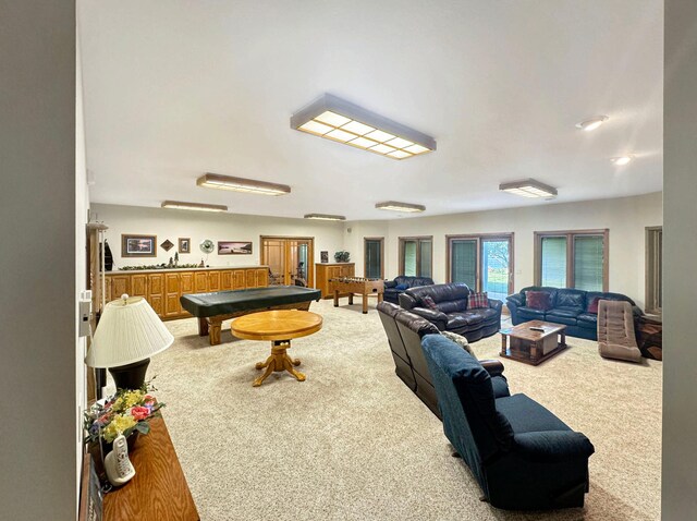 16 Pheasant Dr, Mason Twp, MN 56172 - game room with carpet floors