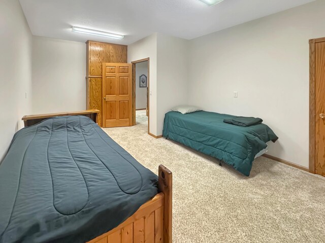 16 Pheasant Dr, Mason Twp, MN 56172 - carpeted bedroom with baseboards