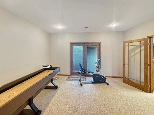 16 Pheasant Dr, Mason Twp, MN 56172 - exercise room featuring french doors, carpet flooring, baseboards, and recessed lighting