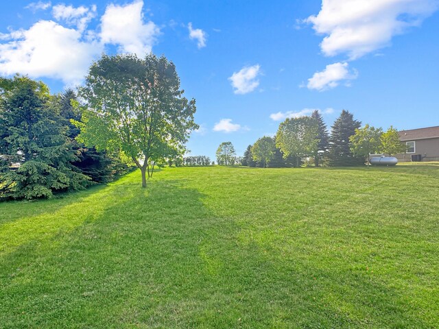 16 Pheasant Dr, Mason Twp, MN 56172 - view of green lawn