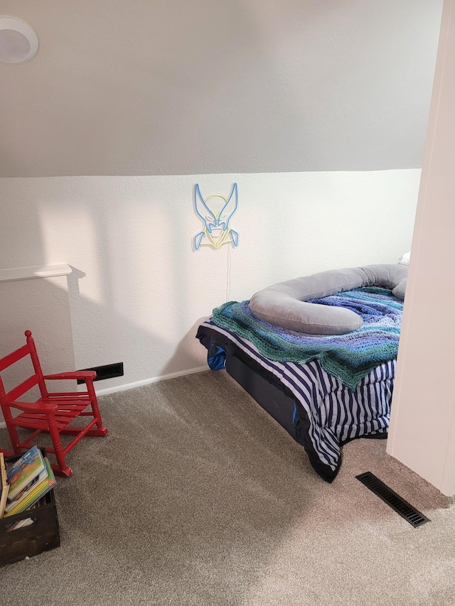 802 19th St SW, Austin, MN 55912 - bedroom with carpet and lofted ceiling