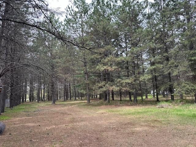 6563 Sandy Ln, Biwabik Twp, MN 55741 - view of tree filled area