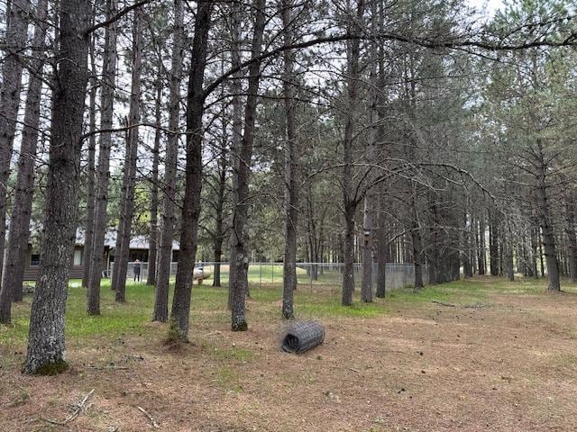 6563 Sandy Ln, Biwabik Twp, MN 55741 - view of undeveloped land