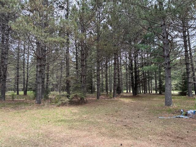 6563 Sandy Ln, Biwabik Twp, MN 55741 - view of tree filled area