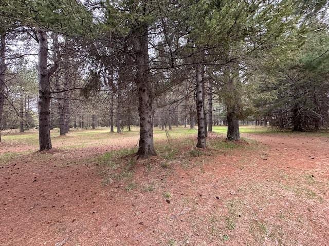6563 Sandy Ln, Biwabik Twp, MN 55741 - view of nature
